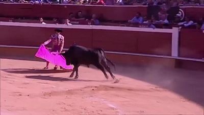 Toros en Telemadrid: Feria de San Juan desde Soria (1ª Parte)