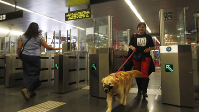 Ya son 400.000 los perros que han viajado en el metro de Madrid