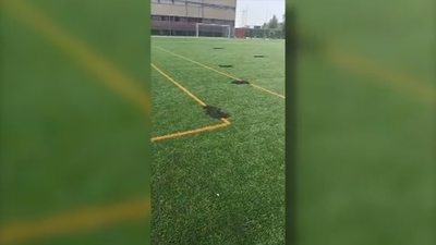 ¿Quién está quemando el césped artificial de un campo de fútbol en Orcasitas?