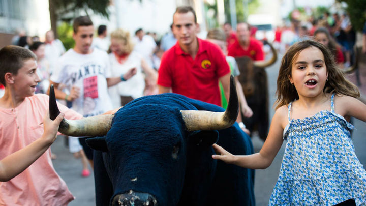 Fiestas del Carmen / Ayuntamiento de Pozuelo
