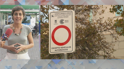 Ecologistas y Greenpeace piden la suspensión de la moratoria a Madrid Central