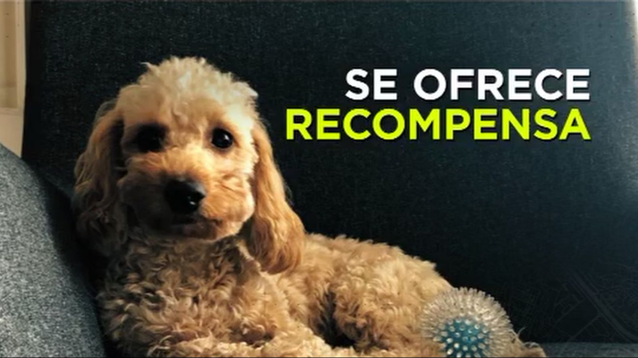 Madrid Directo 05.07.2019