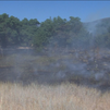 ¿Incendio intencionado en Pinilla del Valle?