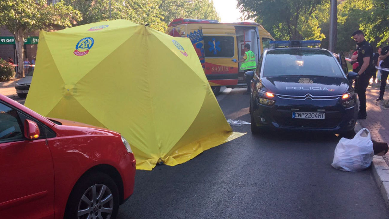 Atropello en Avenida de la Albufera