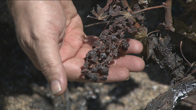 La tierra todavía arde una semana después del incendio de Cadalso y Cenicientos