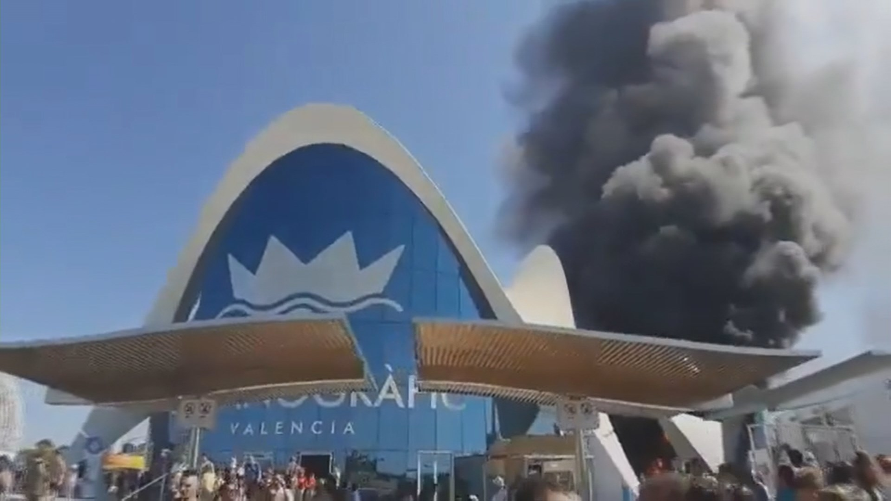 Desalojan el Oceanogràfic de Valencia tras incendiarse una torre de las instalaciones