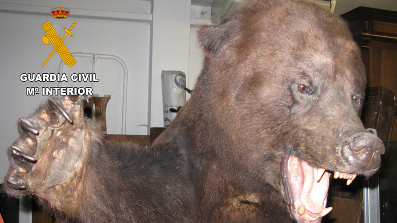 Gran operación de la Guardia Civil contra el tráfico furtivo de animales