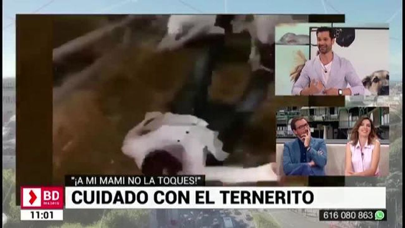 Buenos Días Madrid 12.07.2019