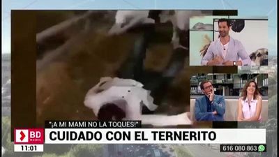 Buenos Días Madrid 12.07.2019