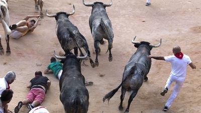 Cruz Roja atiende a 48 corredores tras el último encierro de San Fermín 2019