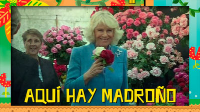 El viaje en el helicóptero que podría haber acabado con la vida de Camila de Cornualles