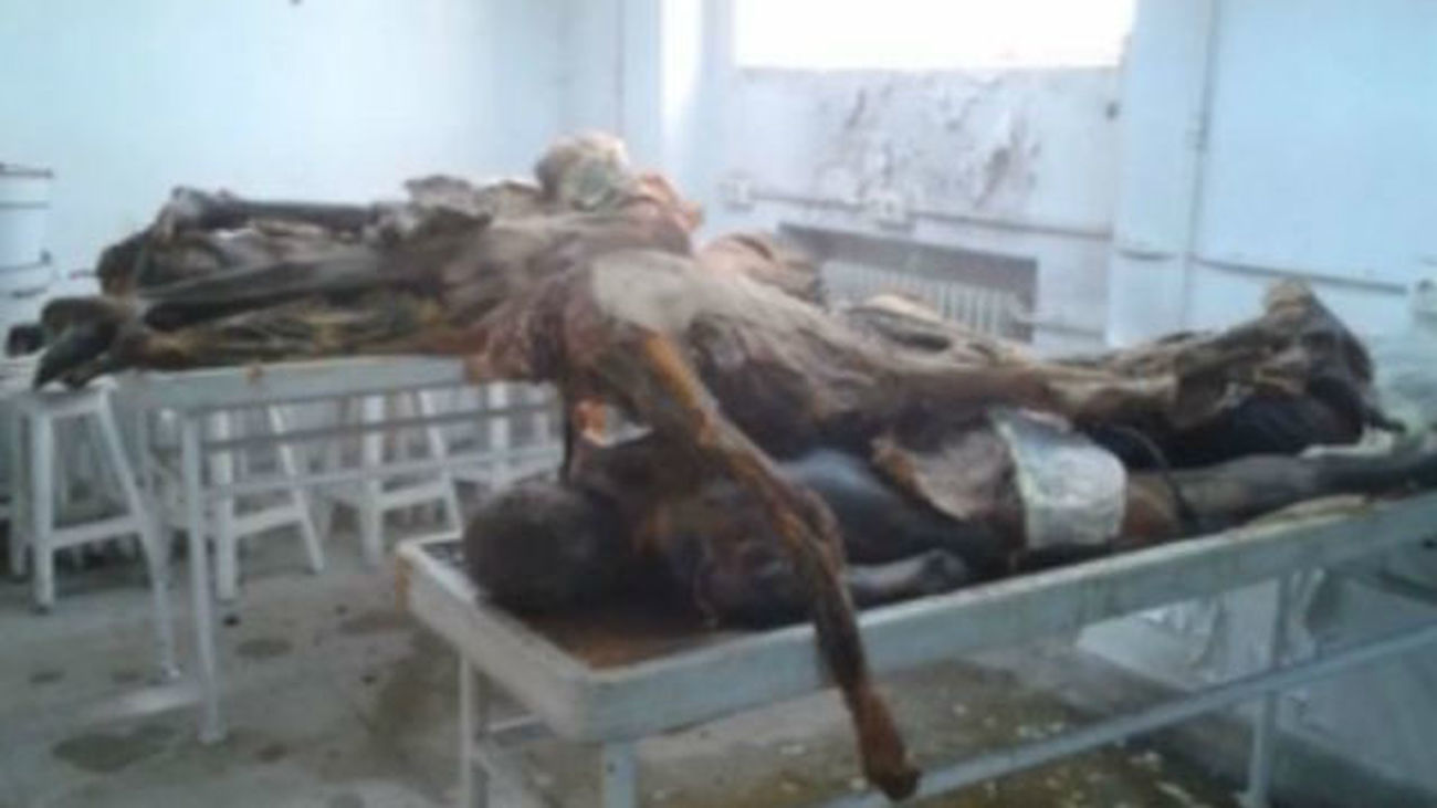 Morgue de la Complutense. Imagen de archivo