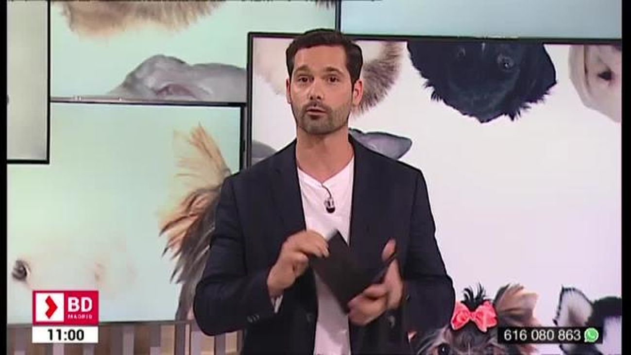 Buenos Días Madrid (10:30-11:30) 17.07.2019