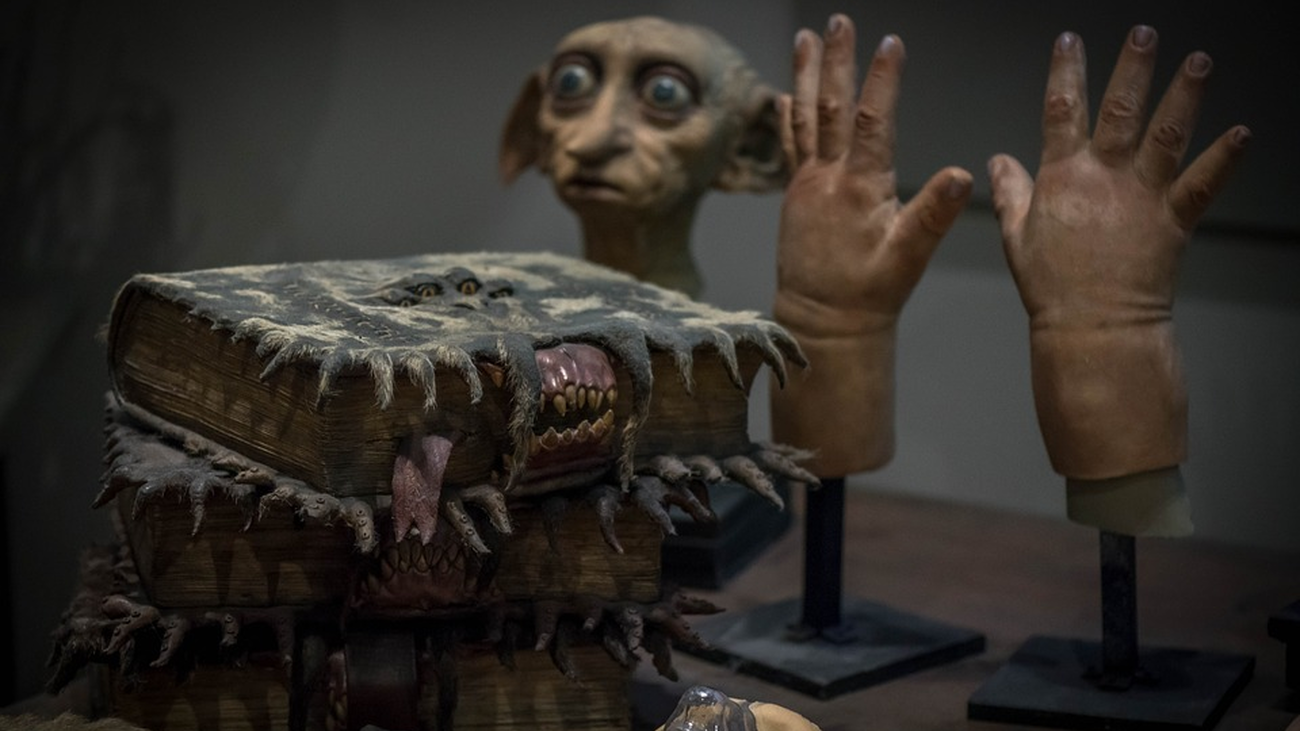 El campamento con el que dejarás de ser ‘muggle’