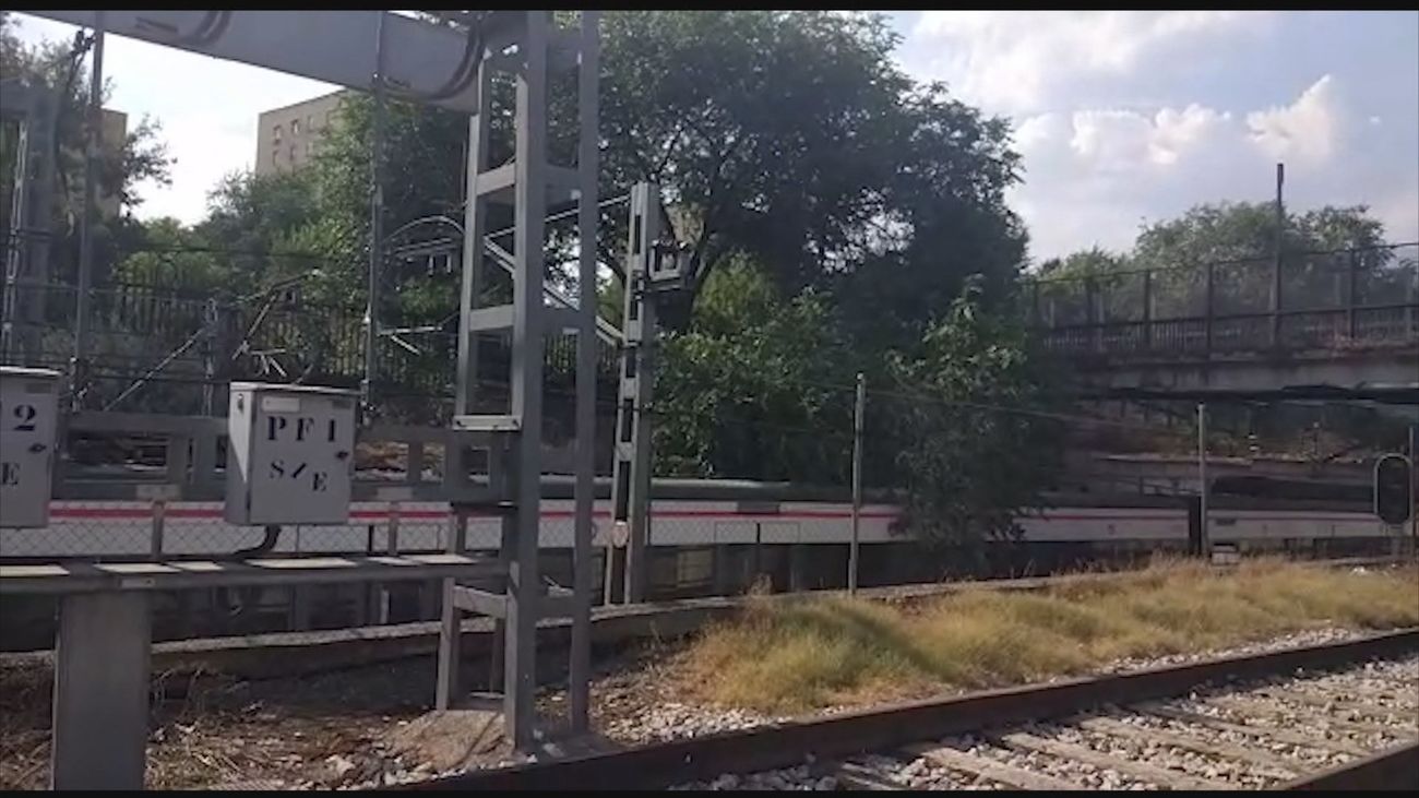 Un árbol cae en Orcasitas  y corta la linea 5 de Cercanías