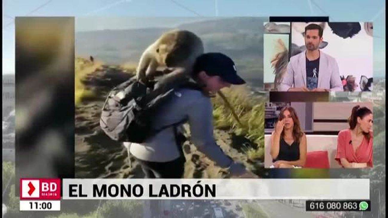 Buenos Días Madrid (10:30-11:30) 19.07.2019