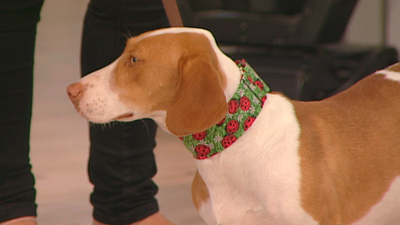 Un hogar para River y Aura