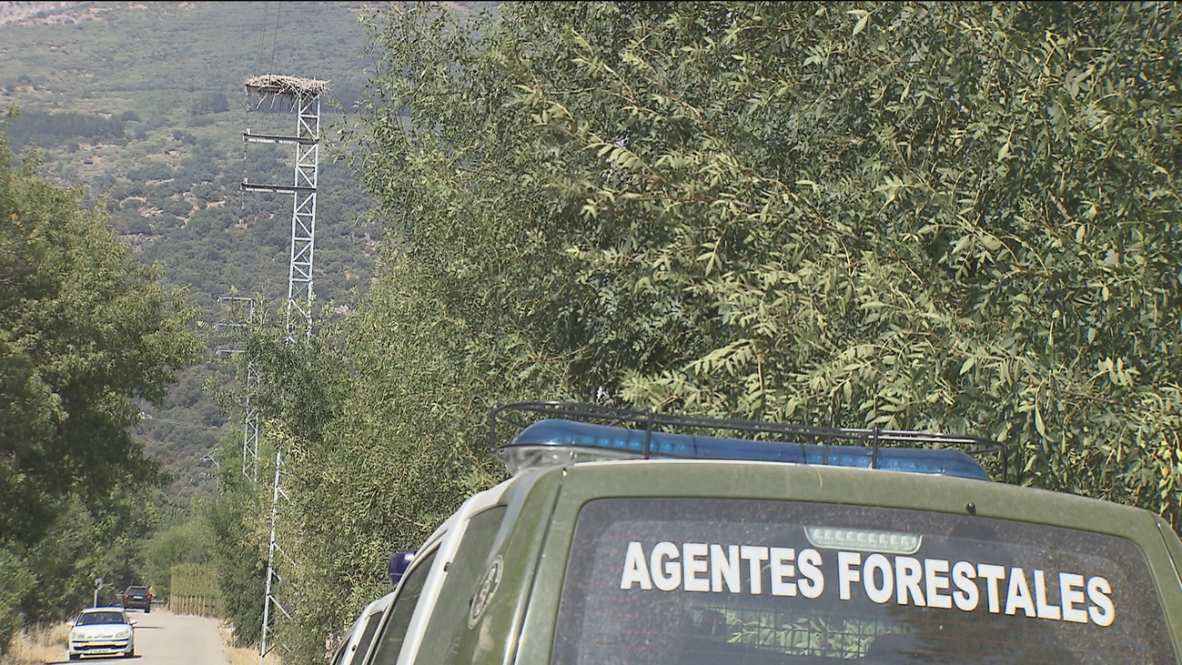 Los agentes forestales revisan los tendidos eléctricos para evitar incendios