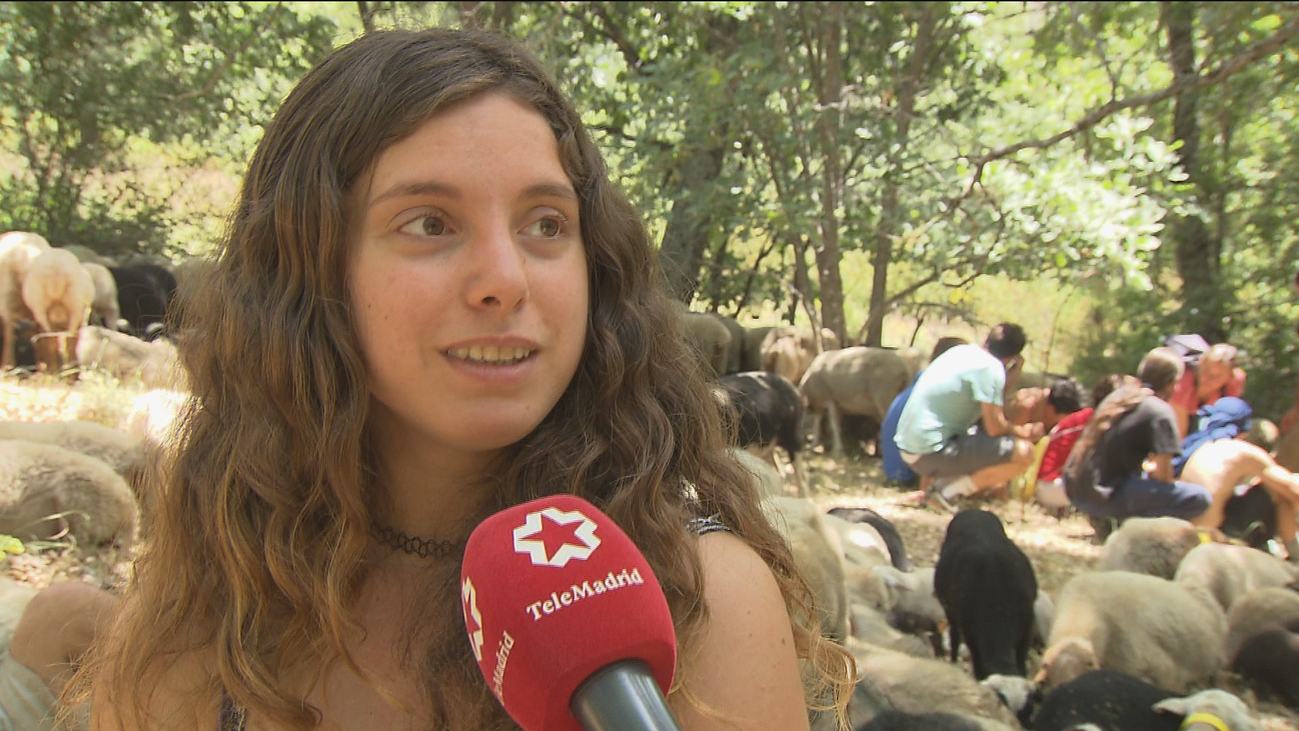 Aprendiendo el oficio de pastor en Puebla de la Sierra