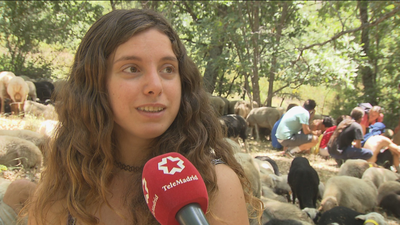 Aprendiendo el oficio de pastor en Puebla de la Sierra