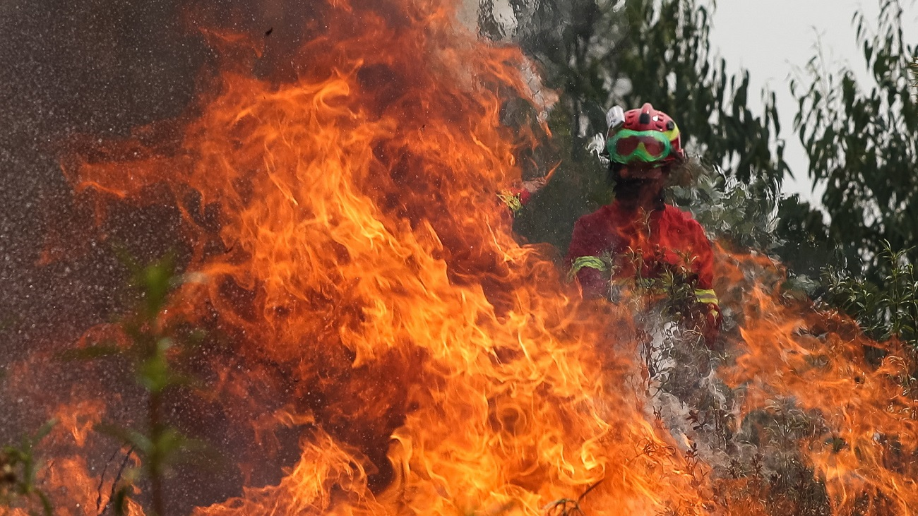 Los bomberos controlan el 85% del gran incendio de Portugal