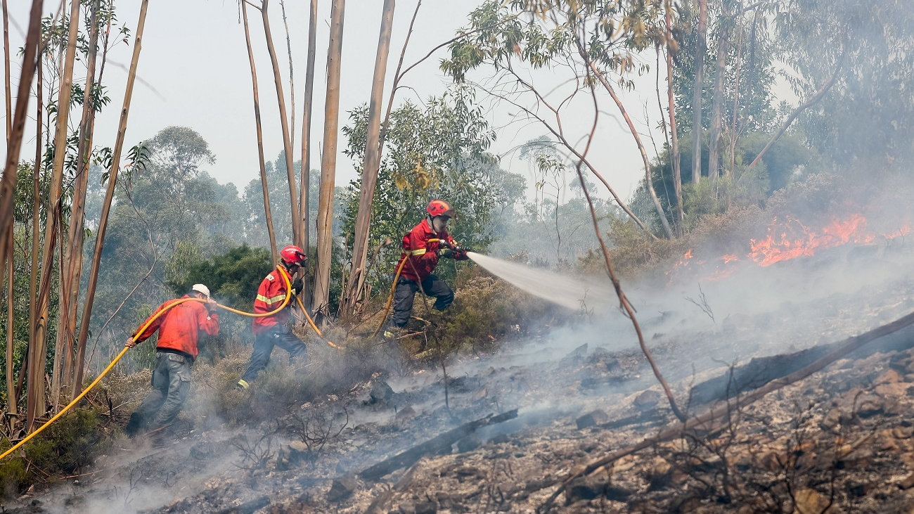 Más de 3.000 hectáreas quemadas en el incendio de Portugal