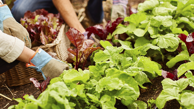 Ochenta talleres y actividades de verano dirigidas a jóvenes infractores