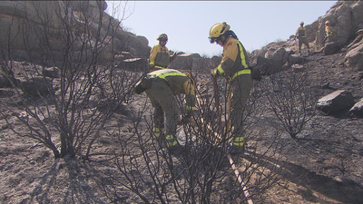 Los bomberos dan por controlado el incendio de El Berrueco