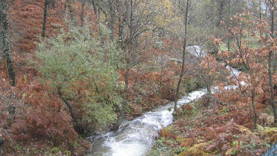 San Agustín prohíbe la estancia junto a río Guadalix para evitar aglomeraciones