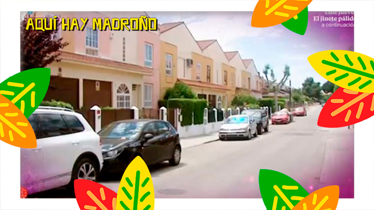 Aquí hay madroño 25.07.2019