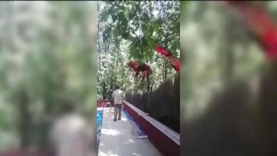 Está Pasando 25.07.2019