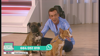 Un hogar para Escania y Sky