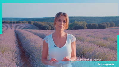 Descubrimos los rincones más especiales de Brihuega, en pleno Festival de la Lavanda