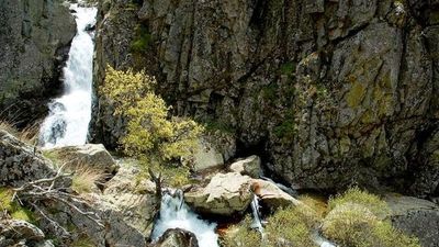 Las mejores consejos para hacer senderismo en verano