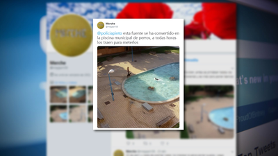 El Ayuntamiento de Pinto se muestra flexible con el baño de perros en las fuentes