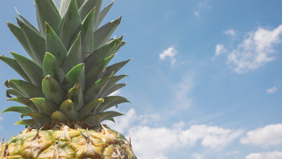 Adelgazar en verano, ¡sin dietas!