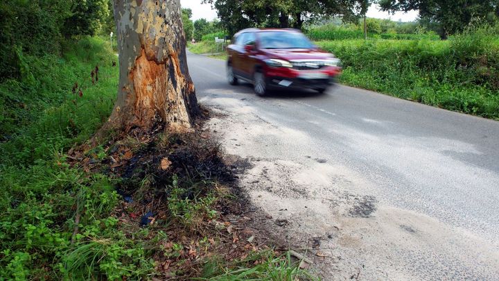 Lugar donde el hombre chocó con su coche tras matar a su mujer en Escalante (Cantabria)