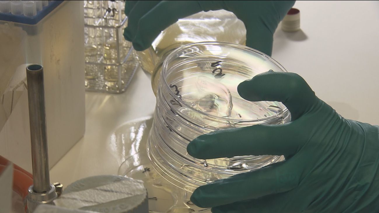 Así trabaja el Laboratorio Regional de Salud Pública