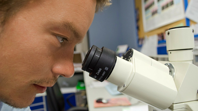 Investigadores españoles buscan cómo crear órganos de animales para humanos