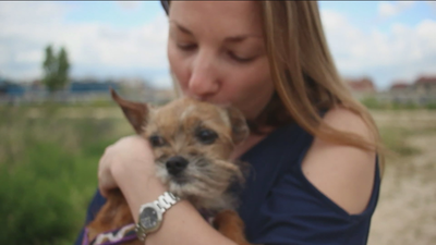 Arranca en Madrid un proyecto para adoptar a perros de personas fallecidas