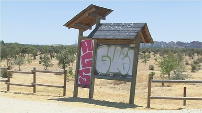 Denuncian el deterioro de Bosque Sur