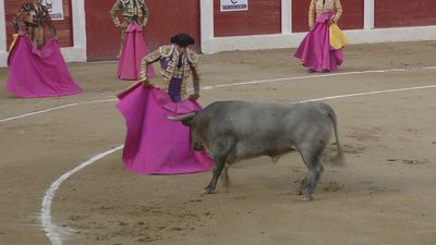 Rubén Pinar corta una oreja en el debut de los toros de Adolfo Martín en Íscar