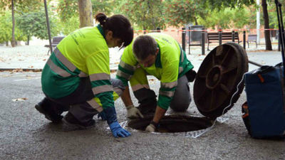 Móstoles intensifica la lucha contra ratas y cucarachas