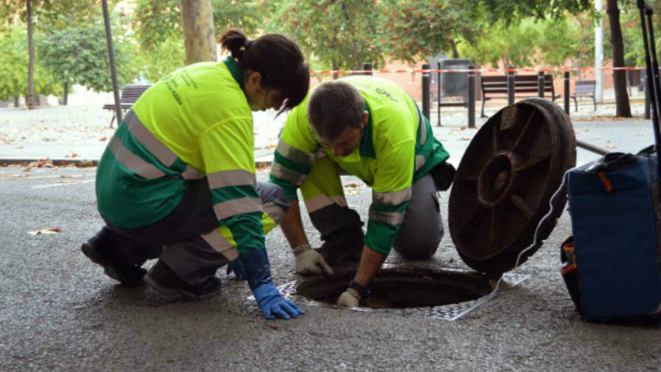 Profesiones del s. XXI: Control de plagas