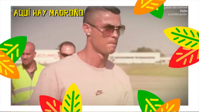 Aquí hay madroño 05.08.2019