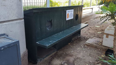 Arroyomolinos instala un proyecto pionero de casetas para las colonias de gatos