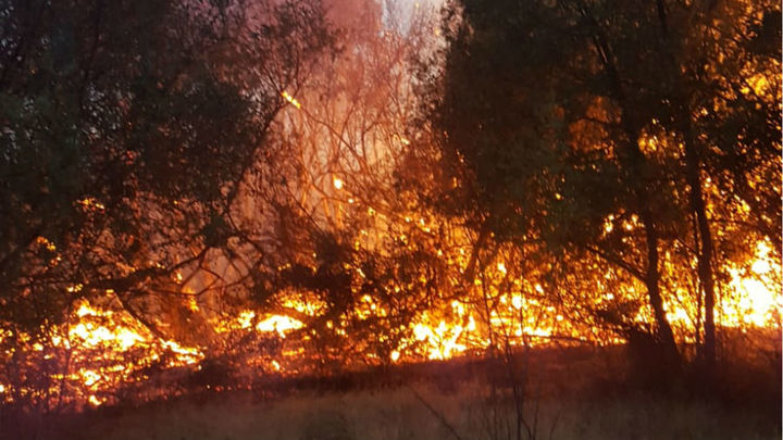 Incendio forestal en Brunete