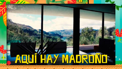 ¿A qué excompañero del Real Madrid ha vendido Cristiano Ronaldo su mansión de Portugal?