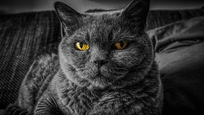 Está Pasando 08.08.2019