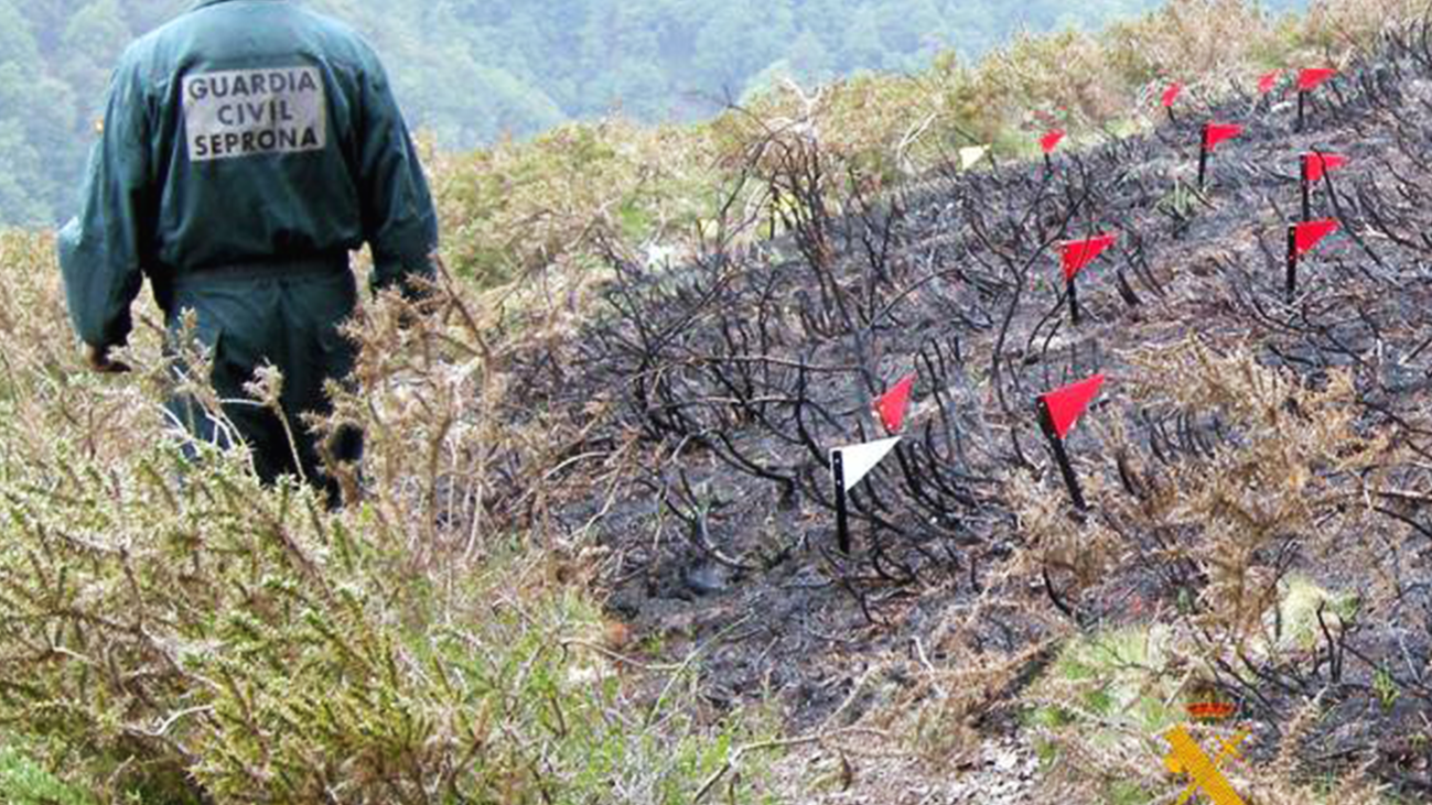 Miraflores analiza el daño a la fauna y flora tras el incendio
